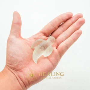 Fossilized Siluman Bird - Type A3 - Warding Stone, Protective Stone, Protection, Cleansing, Purification, Negative Energy Protection, Energy Shield Crystal, Aura Cleansing Stone, Guardian Crystal, Guardian Talisman