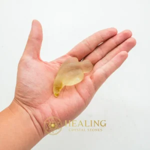 Fossilized Siluman Bird - Type A4 - Aura, Aura Crystal, Aura Cleansing Stone, Chakra, Sacral Chakra Crystal, Meditation, Inner Wisdom, Awakened, Spiritual Healing, Emotional Healing