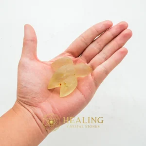 Fossilized Siluman Bird - Type A6 - Animal Totem Stones, Power Animal Stones, Guardian Crystal, Guardian Stone, Spirit Crystal, Spirit Stone, Nature Crystal, Nature Stone, Shamanic, Mysticism
