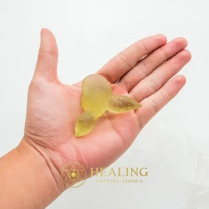 Fossilized Siluman Bird - Type A8 - Spiritual Healing, Emotional Healing, Healing Crystals, Healing Stones, Meditation, Chakra, Aura, Inner Wisdom, Positive Energy, Harmony