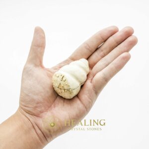Fossilized Snail Shell - Type B2 - Healing Bezoar Stones, Magical Stones, Ritual Power Stones, Crystals, Talismans Stones, Talisman Crystals, Amulet Stones, spiritual, psychic, shaman