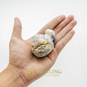Fossilized Tiger Testicle Pearl - Type I2 - Animal Totem Stones, Healing Crystals, Amulet Stones, Healing Stones, Magical Stones, Ritual Power Stones, Energy Stones, mystical, occult, metaphysics