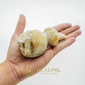 Fossilized Tiger Testicle Pearl - Type I3 - Power Animal Stones, Crystal Stones, Mustika Stones, Spiritual Crystals, Magickal Stones, Talismans Stones, Enchanted Stones, shaman, magical, artifact