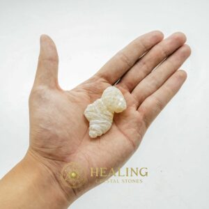 Fossilized Turmeric - Type A1 (WHITE)) - Healing Crystals, Crystal Stones, Mustika Pearls, Talismanic Stones, Healing Stones, Spiritual Crystals, Bezoar Stones, mystical, shamanic, occult