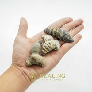 Fossilized Turmeric - Type B3 - Healing Crystals, Mustika Pearls, Healing Stones, Magickal Stones, Talismans Stones, Energy Stones, Bezoar Stones, shamanic, occult, metaphysics