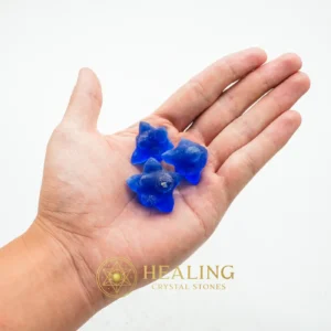 Fossilized Tunjung Biru Flower - Type C1 - Esoteric Stone, Esoteric Crystal, Occult Artifact, Psychic, Occult, Metaphysics, Spiritualism, Mystical, Ritual Crystals, Sacred