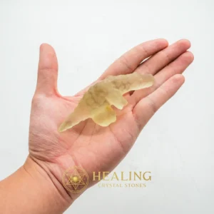 Fossilized White Crocodile Siluman - Type B13 - Energy Stones, Energy Balance Stone, Energy Alignment Crystal, Positive Energy, Universal Energy, Harmony, Balance, Aura Crystal, Life Energy Crystal, Life Force Stone