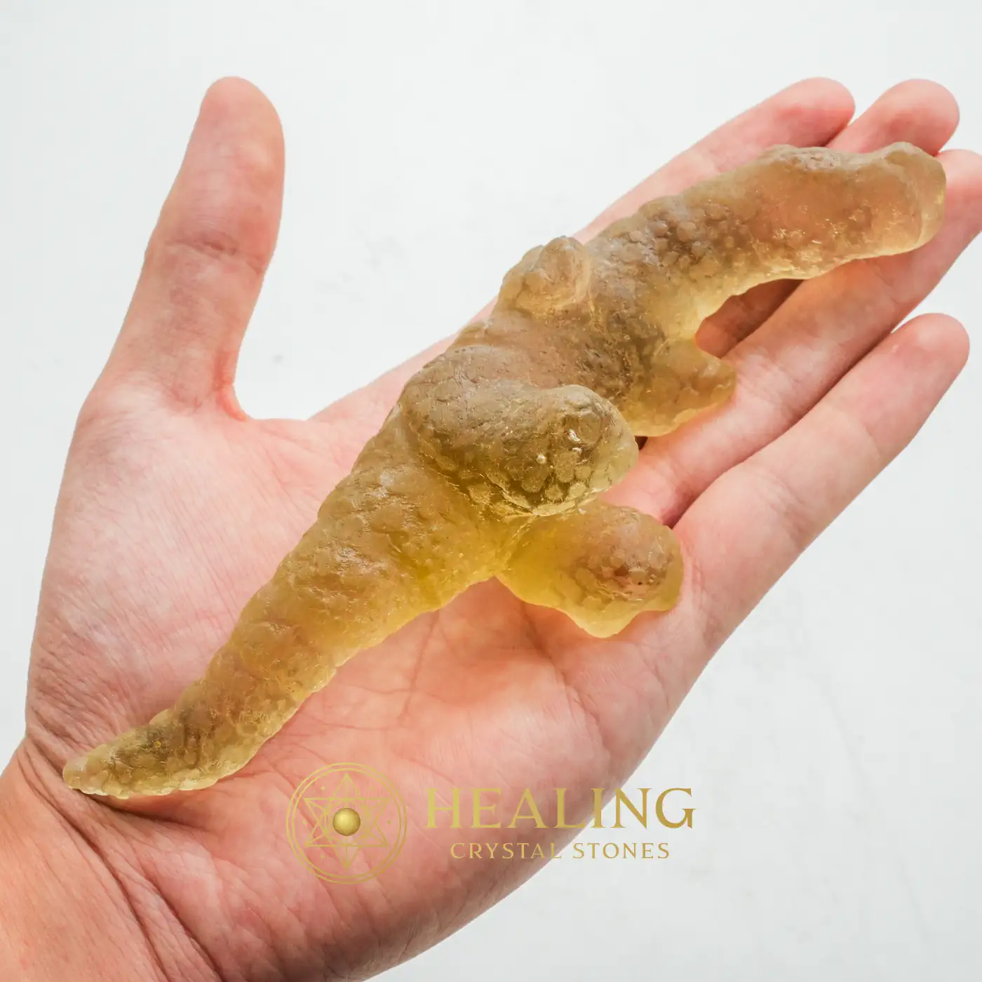 Fossilized White Crocodile Siluman - Type B4 - Spiritual Healing, Emotional Healing, Healing Crystals, Healing Stones, Meditation, Chakra, Aura, Inner Wisdom, Positive Energy, Harmony