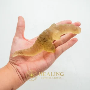 Fossilized White Crocodile Siluman - Type B4 - Cleansing, Purification, Protection, Warding Stone, Protective Stone, Negative Energy Protection, Energy Shield Crystal, Aura Cleansing Stone, Guardian Stone, Guardian Crystal