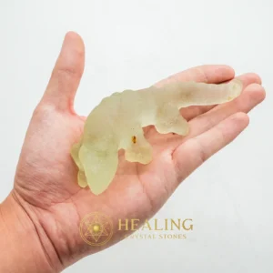 Fossilized White Crocodile Siluman - Type B5 - Energy Balance Stone, Energy Alignment Crystal, Energy Stones, Life Energy Crystal, Life Force Stone, Energetic, Universal Energy, Positive Energy, Harmony, Balance