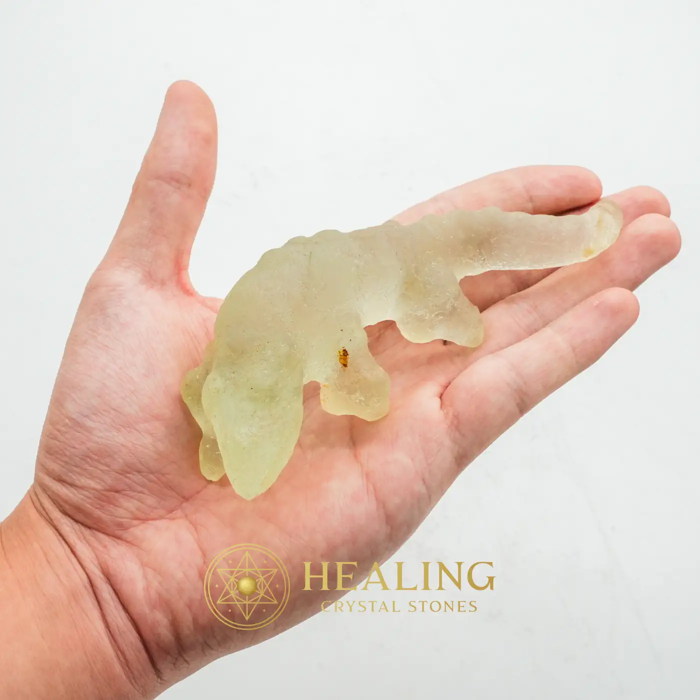 Fossilized White Crocodile Siluman - Type B5 - Energy Balance Stone, Energy Alignment Crystal, Energy Stones, Life Energy Crystal, Life Force Stone, Energetic, Universal Energy, Positive Energy, Harmony, Balance
