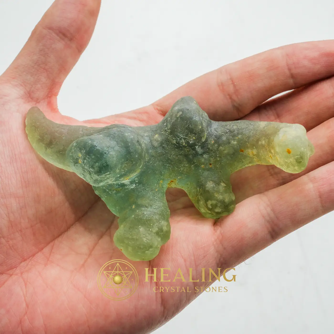 Fossilized White Crocodile Siluman - Type B6 -Aura Crystal, Aura Cleansing Stone, Aura, Chakra, Sacral Chakra Crystal, Meditation, Awakened, Inner Wisdom, Spiritual Healing, Harmony