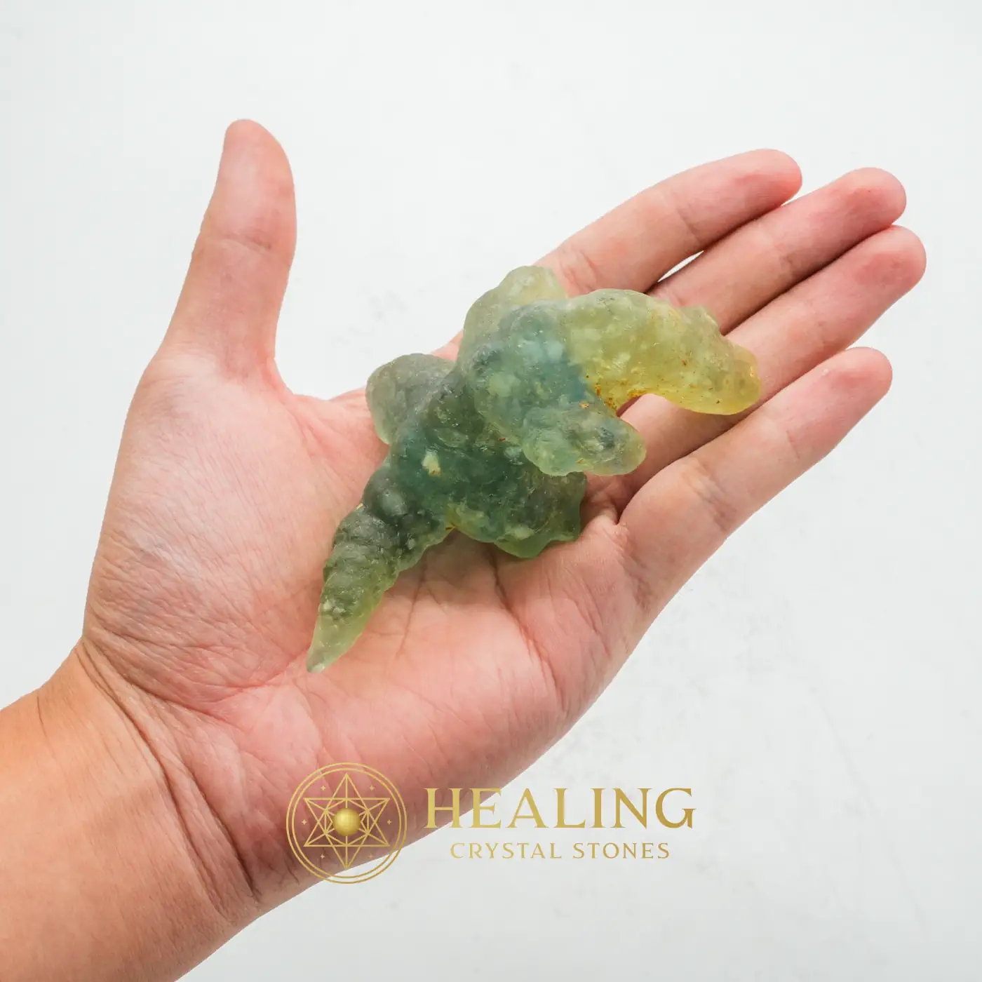 Fossilized White Crocodile Siluman - Type B7 - Solar Crystal, Earth Spirit Stone, Nature Crystal, Nature Stone, Spirit Crystal, Spirit Stone, Life Energy Crystal, Life Force Stone, Divine, Positive Energy
