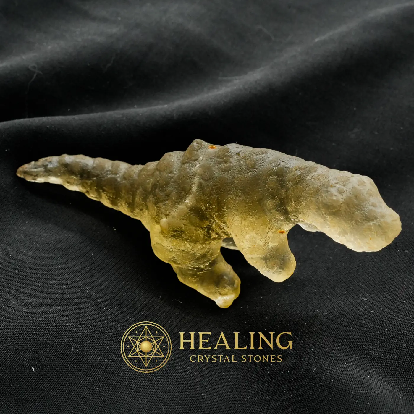 Fossilized White Crocodile Siluman - Type B9 - Negative Energy Protection, Energy Shield Crystal, Warding Stone, Protective Stone, Cleansing, Purification, Aura Cleansing Stone, Protection, Guardian Crystal, Guardian Stone