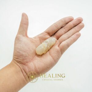 Fossilized White Tiger Testicles - Type H3 (Medium) - Healing Bezoar Stones, Healing Crystals, Mustika Stones, Healing Stones, Magickal Crystals, Talismans Stones, Energy Stones, shamanic, magical, occult