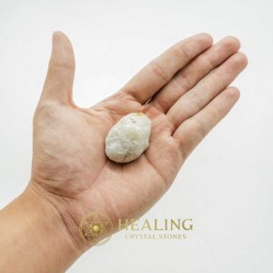 Fossilized White Tiger Testicles - Type H4 - Animal Totem Stones, Crystal Stones, Mustika Pearls, Spiritual Crystals, Ritual Crystals, Talisman Crystals, Enchanted Stones, spiritual, psychic, artifact