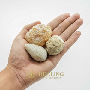 Fossilized White Tiger Testicles - Type J2 - Healing Bezoar Stones, Mustika Stones, Healing Stones, Talisman Crystals, Magickal Crystals, Ritual Power Stones, Energy Stones, spiritualism, occult, magical