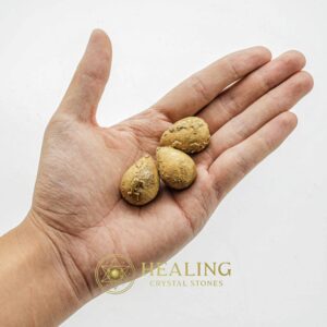 Golden Anteater - Type A - Animal Totem Stones, Healing Crystals, Crystal Stones, Mustika Pearls, Talismans Stones, Spiritual Crystals, Magical Stones, shaman, mystical, metaphysics