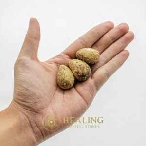Golden Anteater - Type B - Power Animal Stones, Mustika Stones, Healing Stones, Enchanted Stones, Ritual Crystals, Magickal Stones, Energy Stones, psychic, magical, spiritual