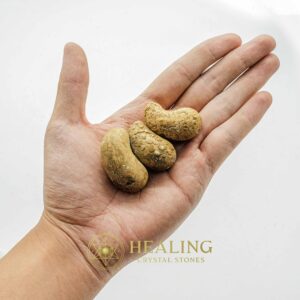 Golden Anteater - Type C -Bezoar Stones, Healing Crystals, Crystal Stones, Spiritual Crystals, Talisman Crystals, Ritual Power Stones, Energy Stones, occult, mystical, shamanic