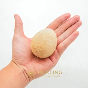 Goose Pearl - Type A1 (Round Egg Shaped) - Bezoar Stones, Bezoar Crystals, Healing Bezoar Stones, Animal Totem Stones, Power Animal Stones, Spirit Stone, Spirit Crystal, Guardian Stone, Guardian Crystal, Rare