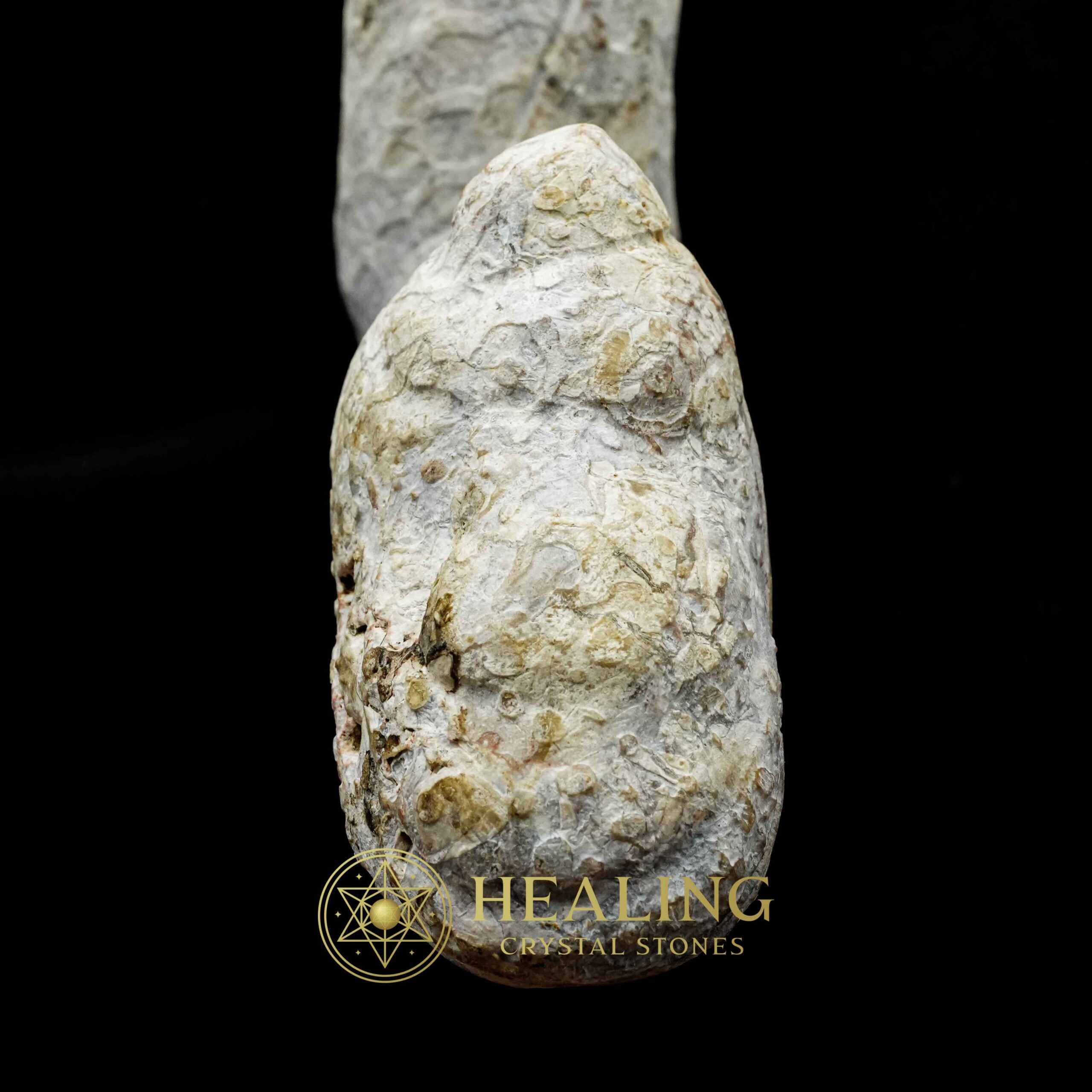 Javanese Dragon Stone - Type A1 - Crystal Stones, Healing Stones, Mustika Pearls, Animal Totem Stones, Power Animal Stones, Sacred Stones, Spiritual Crystals, shaman, magical, artifact