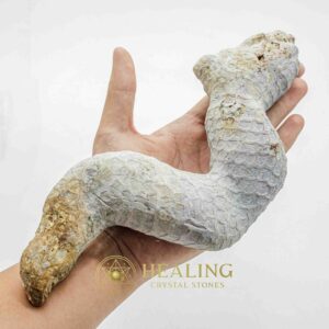 Javanese Dragon Stone - Type A1 - Crystal Stones, Healing Stones, Mustika Pearls, Bezoar Crystals, Talismanic Stones, Sacred Stones, Spiritual Crystals, occult, mystical, rare