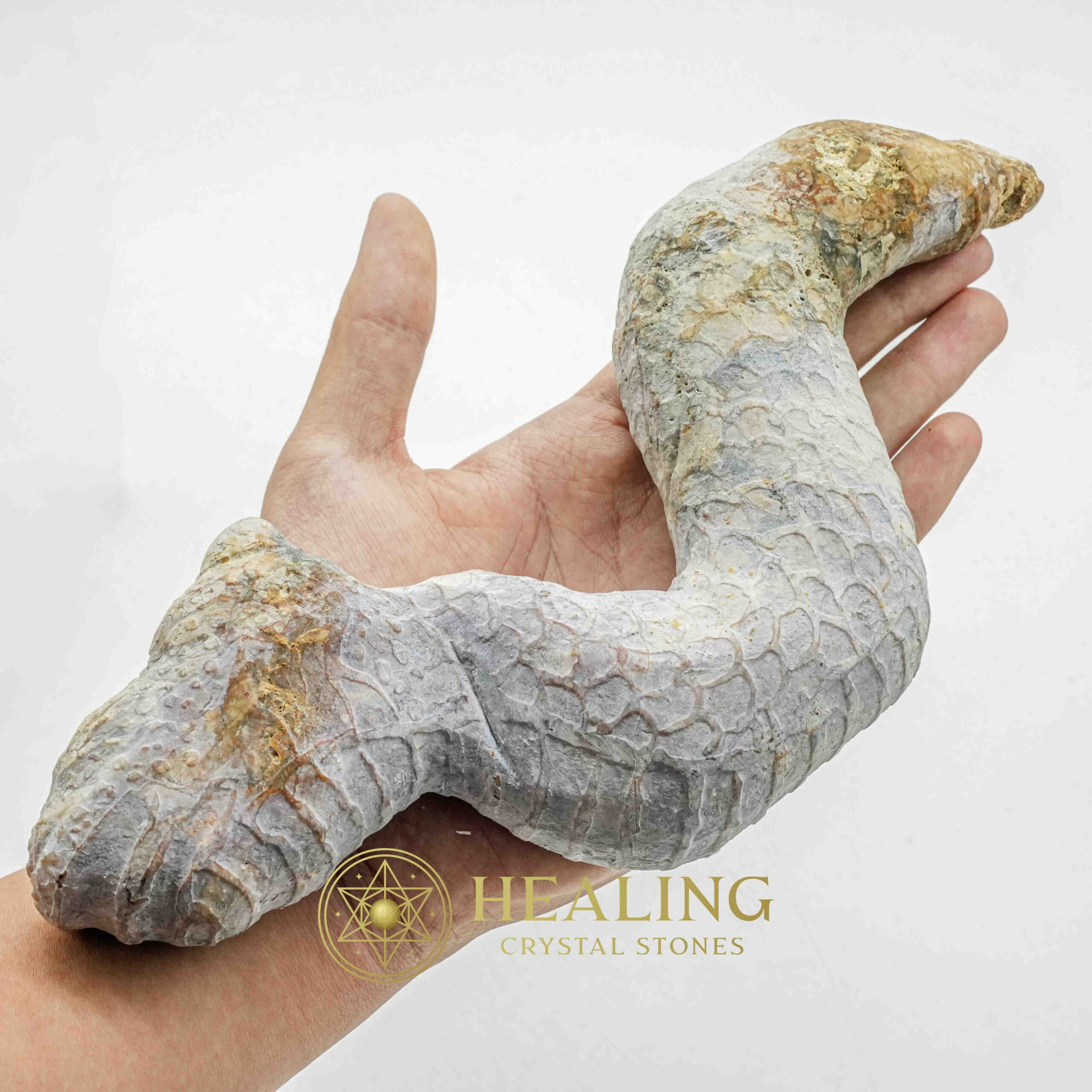 Javanese Dragon Stone - Type A1 - Mustika Stones, Healing Crystals, Crystal Stones, Ritual Crystals, Enchanted Stones, Sacred Stones, Magical Stones, spiritualism, psychic, artifact