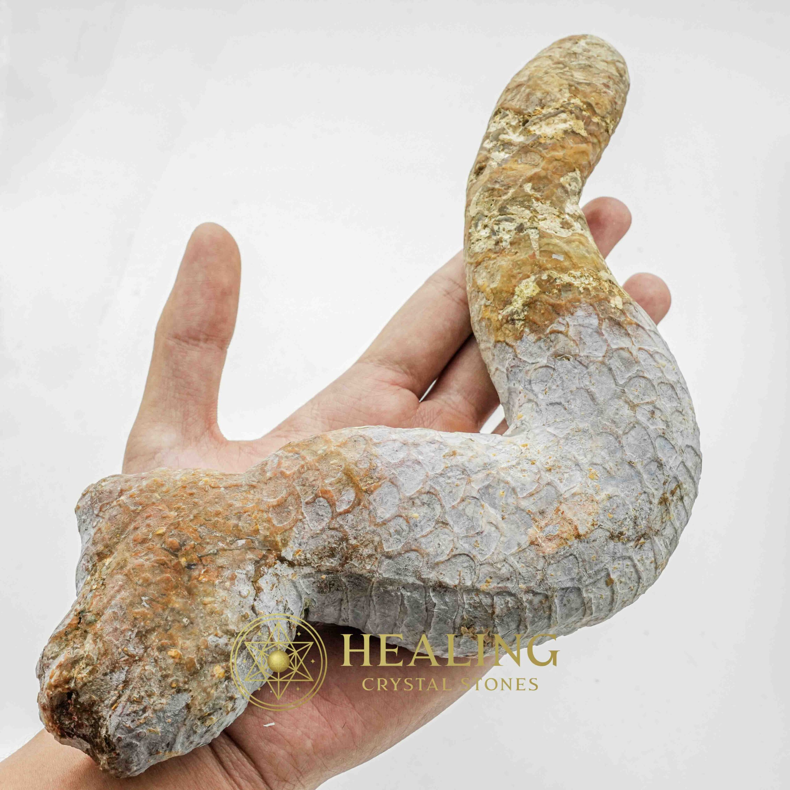 Javanese Dragon Stone - Type A2 - Healing Crystals, Crystal Stones, Magical Stones, Healing Bezoar Stones, Mustika Stones, Sacred Stones, Ritual Crystals, psychic, occult, artifact