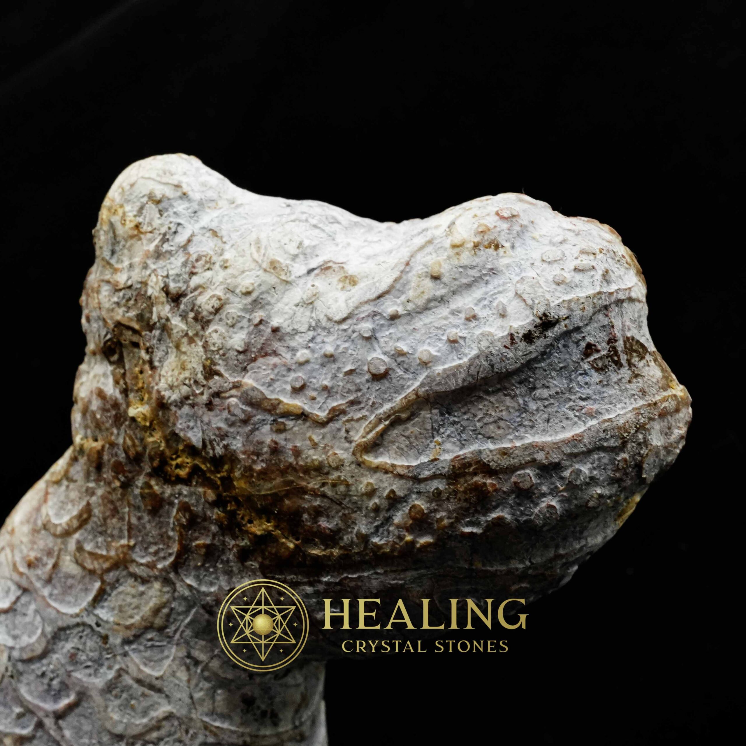 Javanese Dragon Stone - Type A2 - Crystal Stones, Healing Stones, Mustika Pearls, Bezoar Stones, Talisman Crystals, Enchanted Stones, Sacred Stones, spiritual, mystical, rare
