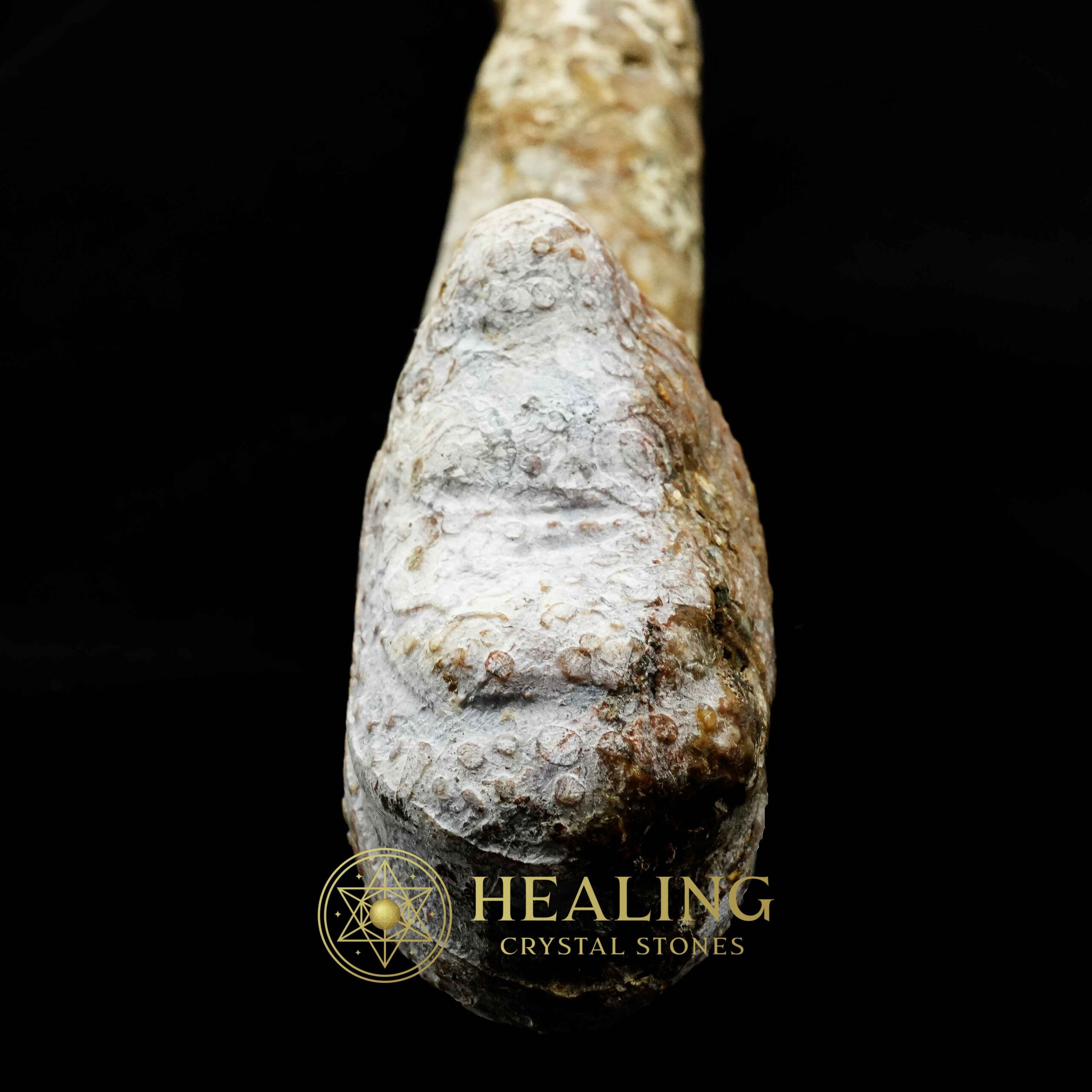 Javanese Dragon Stone - Type A2 - Crystal Stones, Healing Stones, Bezoar Crystals, Mustika Pearls, Ritual Crystals, Sacred Stones, Magical Stones, metaphysics, mystical, rare