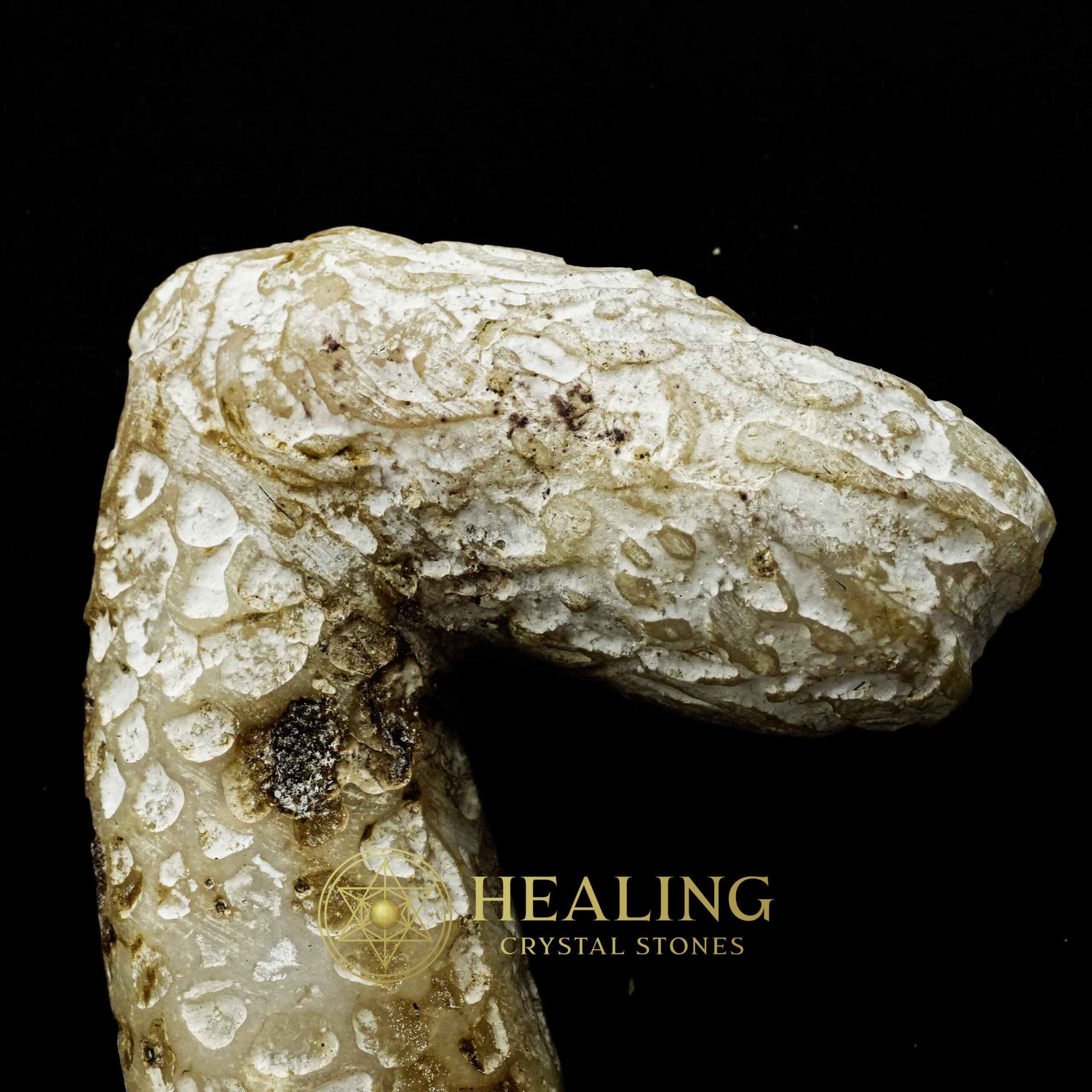 Javanese Dragon Stone - Type B1 - Healing Crystals, Crystal Stones, Power Animal Stones, Animal Totem Stones, Energy Stones, Sacred Stones, Mustika Stones, psychic, occult, artifact