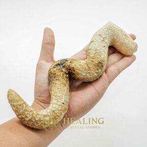 Javanese Dragon Stone - Type B2 - Healing Crystals, Crystal Stones, Mustika Stones, Magical Stones, Energy Stones, Sacred Stones, Ritual Crystals, spiritualism, occult, artifact