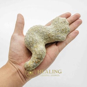 Javanese Dragon Stone - Type C2 - Mustika Stones, Healing Stones, Crystal Stones, Bezoar Stones, Spiritual Crystals, Sacred Stones, Enchanted Stones, metaphysics, occult, rare