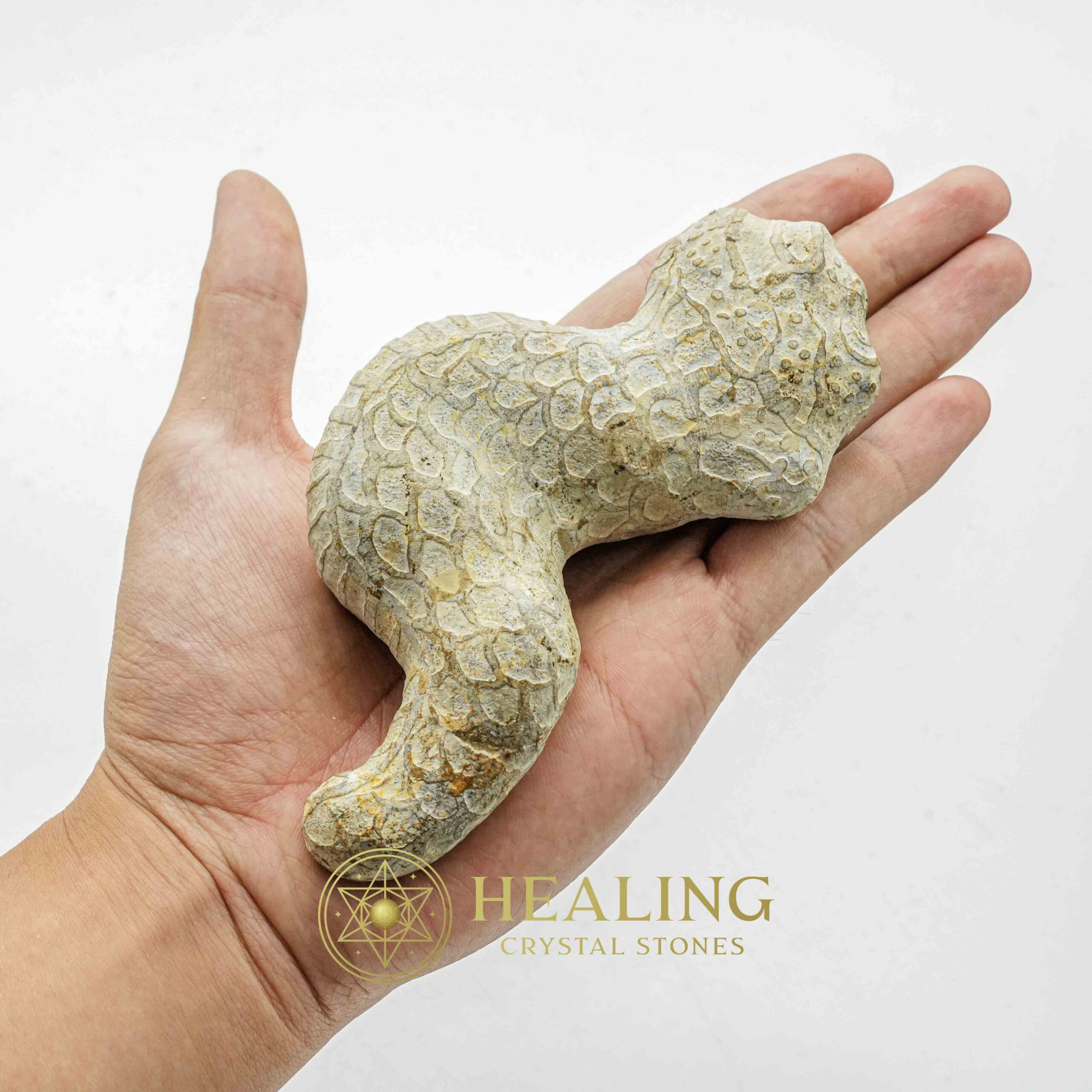 Javanese Dragon Stone - Type C2 - Mustika Stones, Healing Stones, Crystal Stones, Bezoar Stones, Spiritual Crystals, Sacred Stones, Enchanted Stones, metaphysics, occult, rare