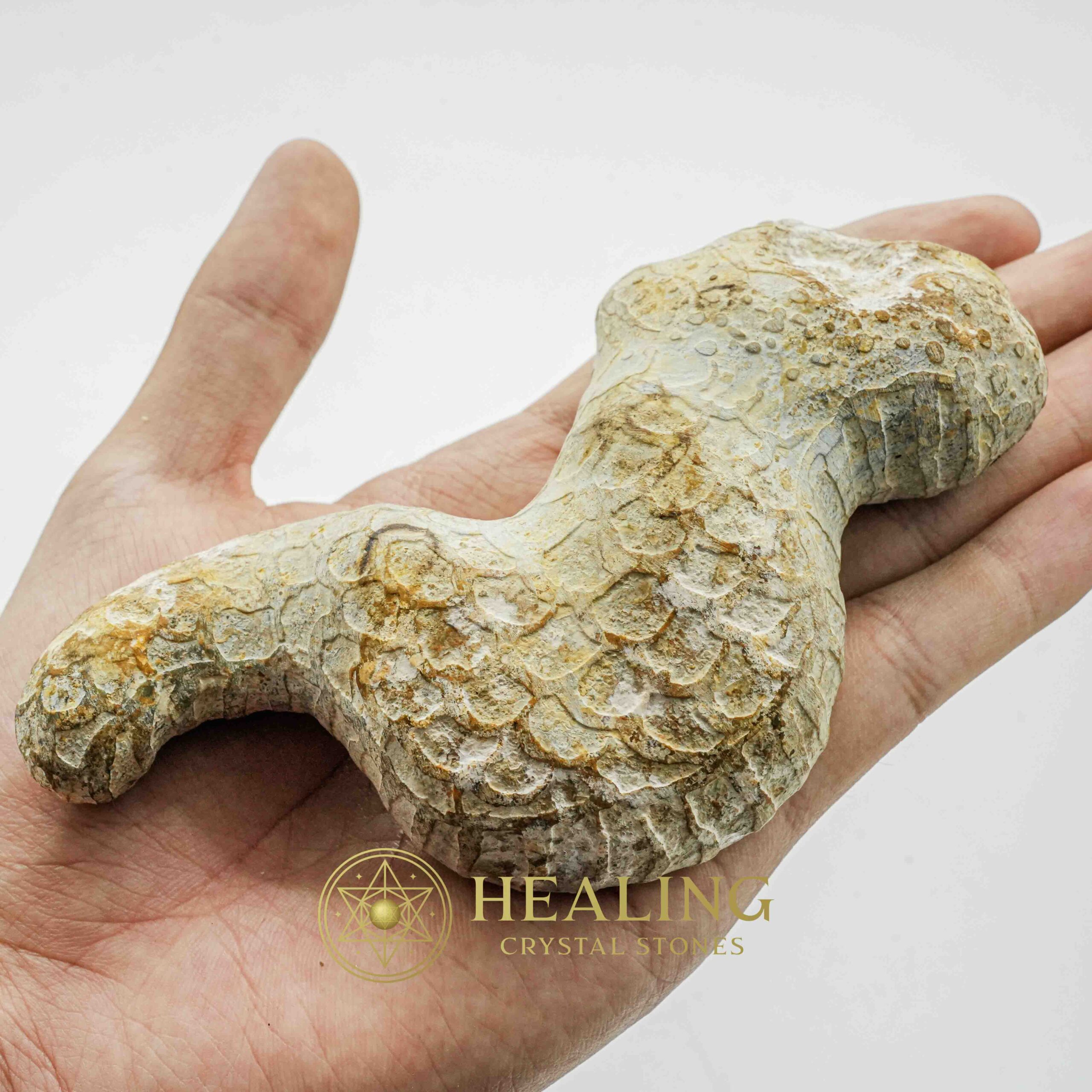 Javanese Dragon Stone - Type C2 - Healing Crystals, Crystal Stones, Talismans Stones, Energy Stones, Mustika Pearls, Ritual Crystals, Sacred Stones, mystical, shaman, artifact