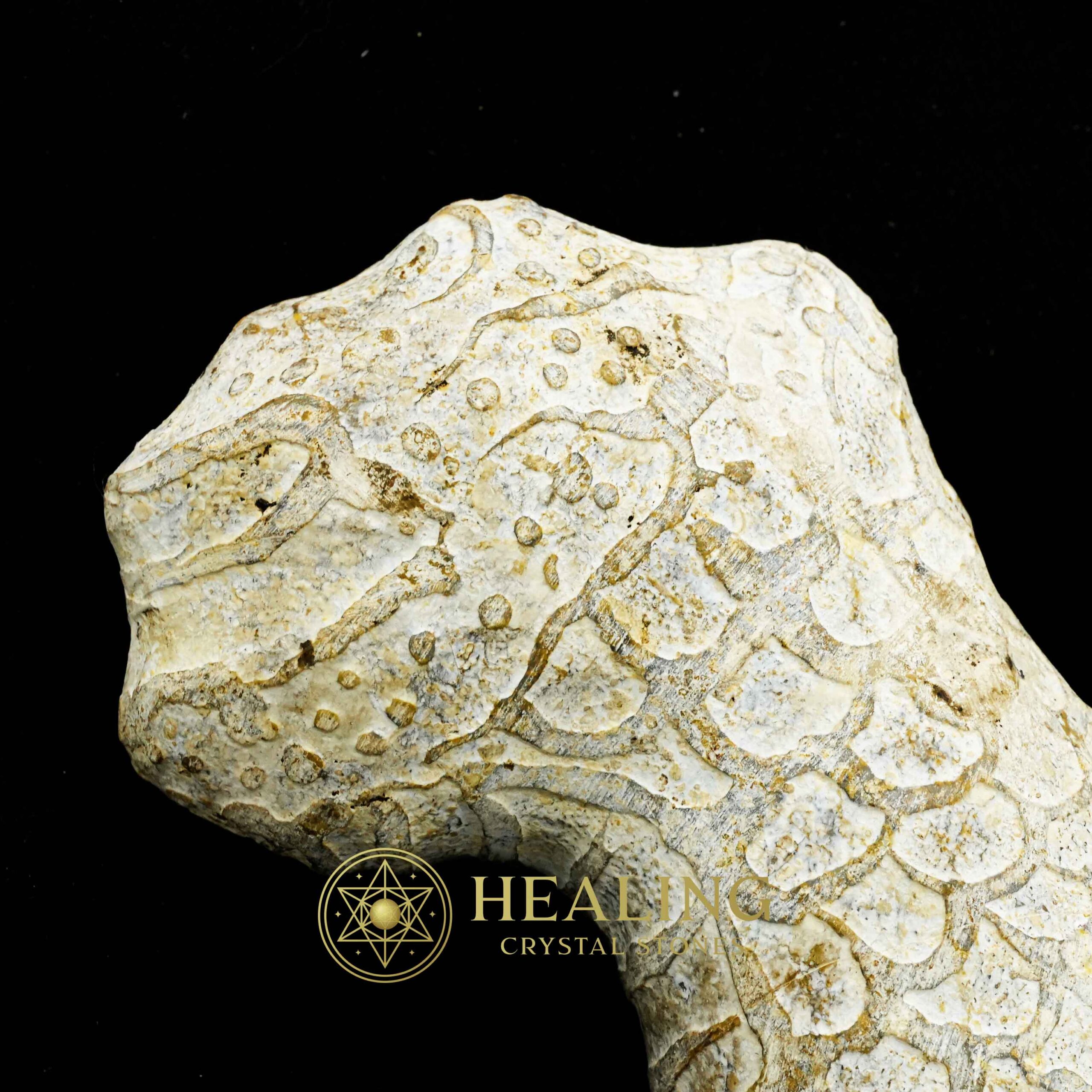 Javanese Dragon Stone - Type C2 - Crystal Stones, Healing Stones, Bezoar Crystals, Magical Stones, Mustika Stones, Sacred Stones, Talisman Crystals, psychic, spiritualism, rare