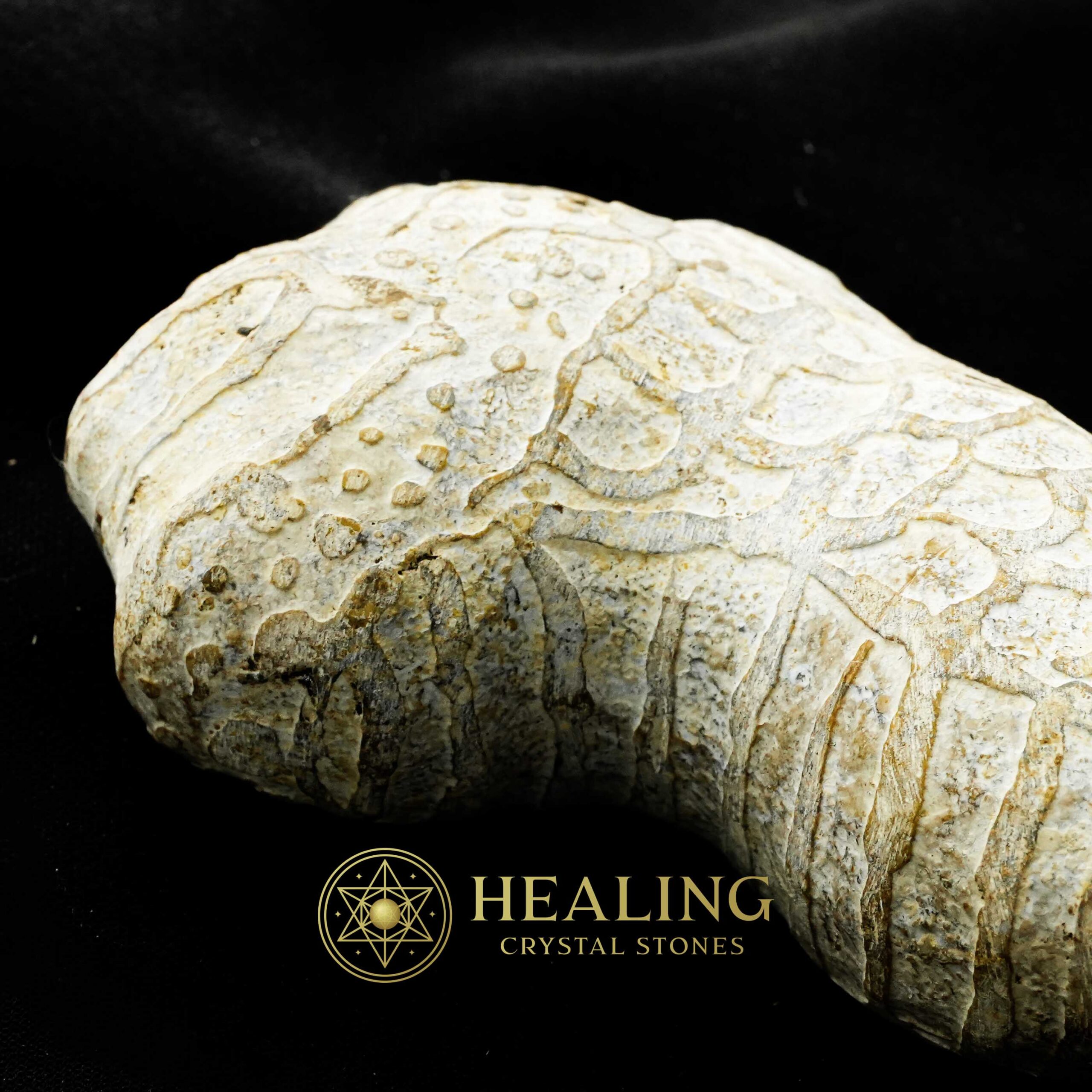 Javanese Dragon Stone - Type C2 - Crystal Stones, Mustika Pearls, Spiritual Crystals, Ritual Crystals, Energy Stones, Enchanted Stones, Healing Crystals, occult, psychic, artifact