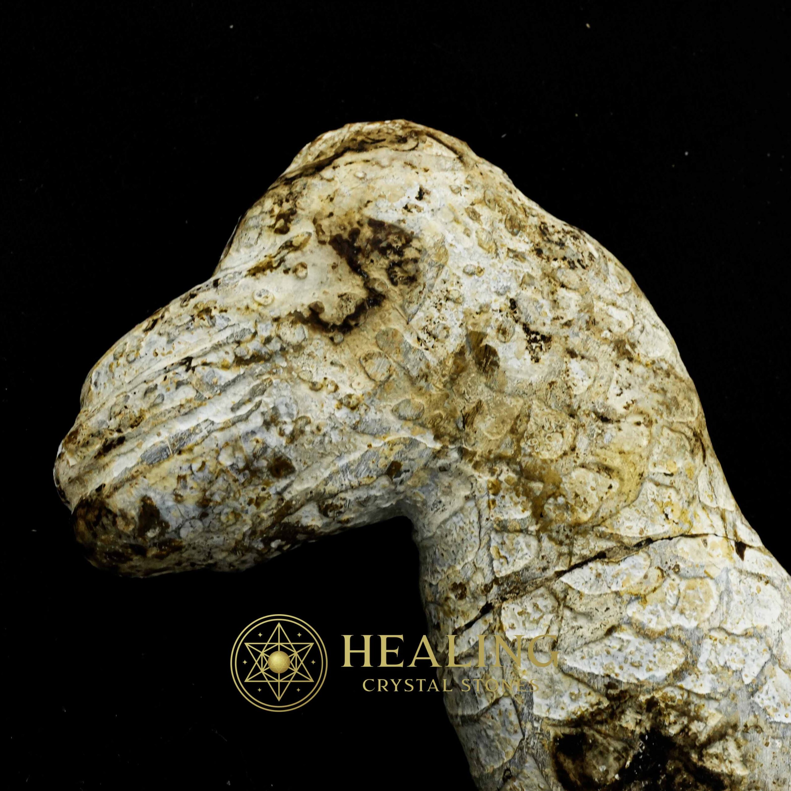 Javanese Dragon Stone - Type C4 - Healing Crystals, Crystal Stones, Amulet stones, Ritual Power Stones, Mustika Pearls, Sacred Stones, Spiritual Crystals, magical, metaphysics, artifact