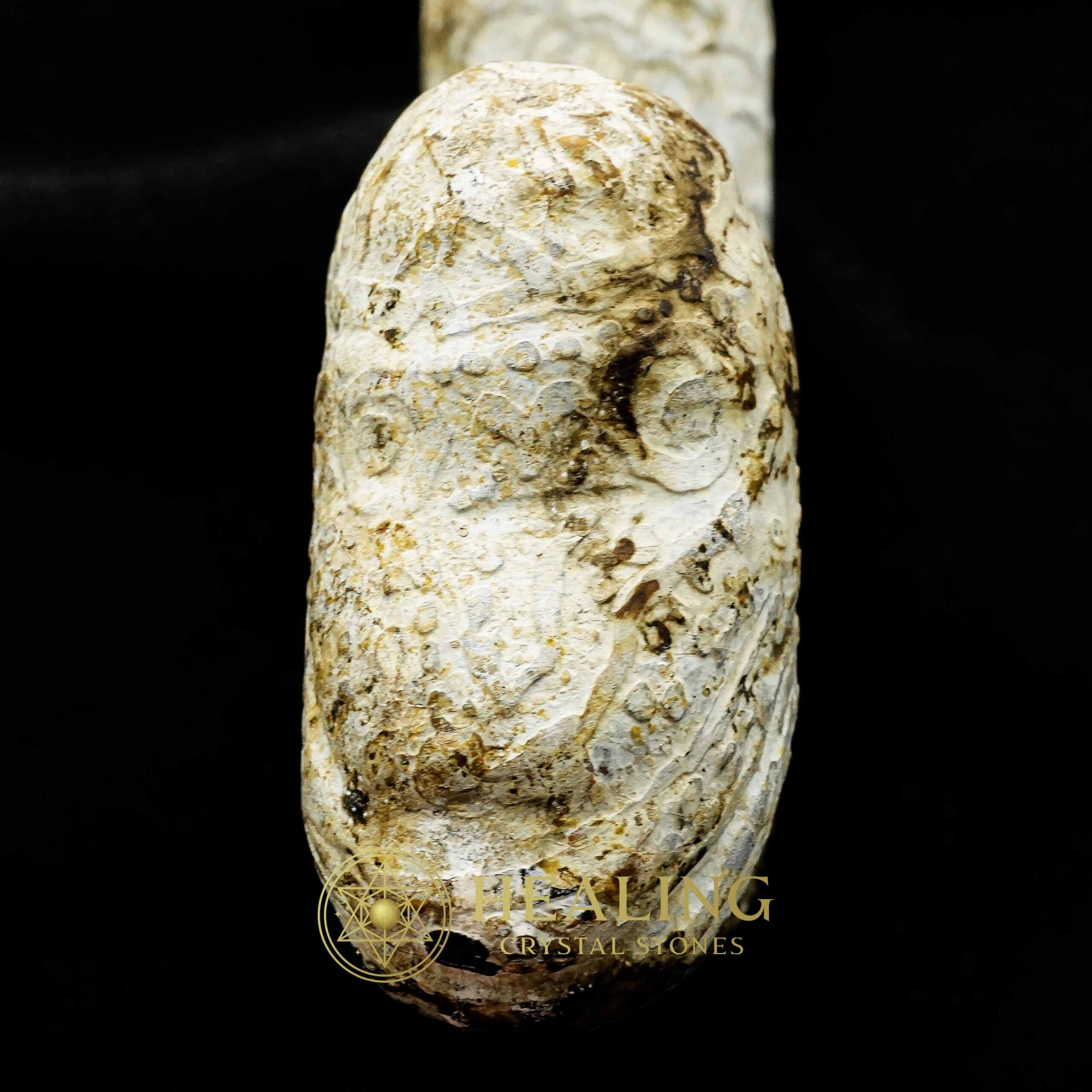 Javanese Dragon Stone - Type C4 - Crystal Stones, Healing Stones, Mustika Stones, Bezoar Crystals, Energy Stones, Sacred Stones, Magickal Crystals, psychic, mystical, rare
