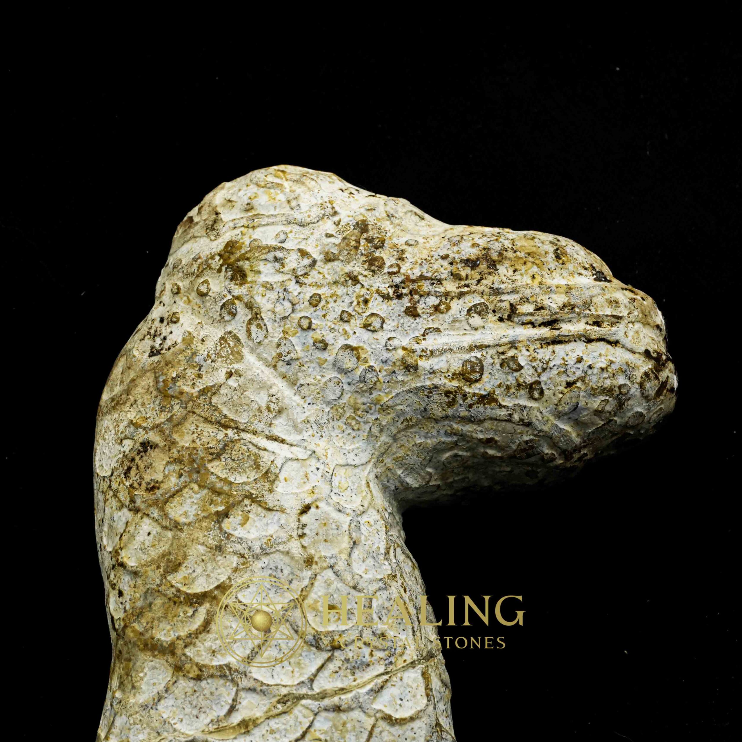 Javanese Dragon Stone - Type C4 - Healing Crystals, Crystal Stones, Ritual Crystals, Mustika Pearls, Enchanted Stones, Sacred Stones, Healing Stones, occult, spiritual, artifact