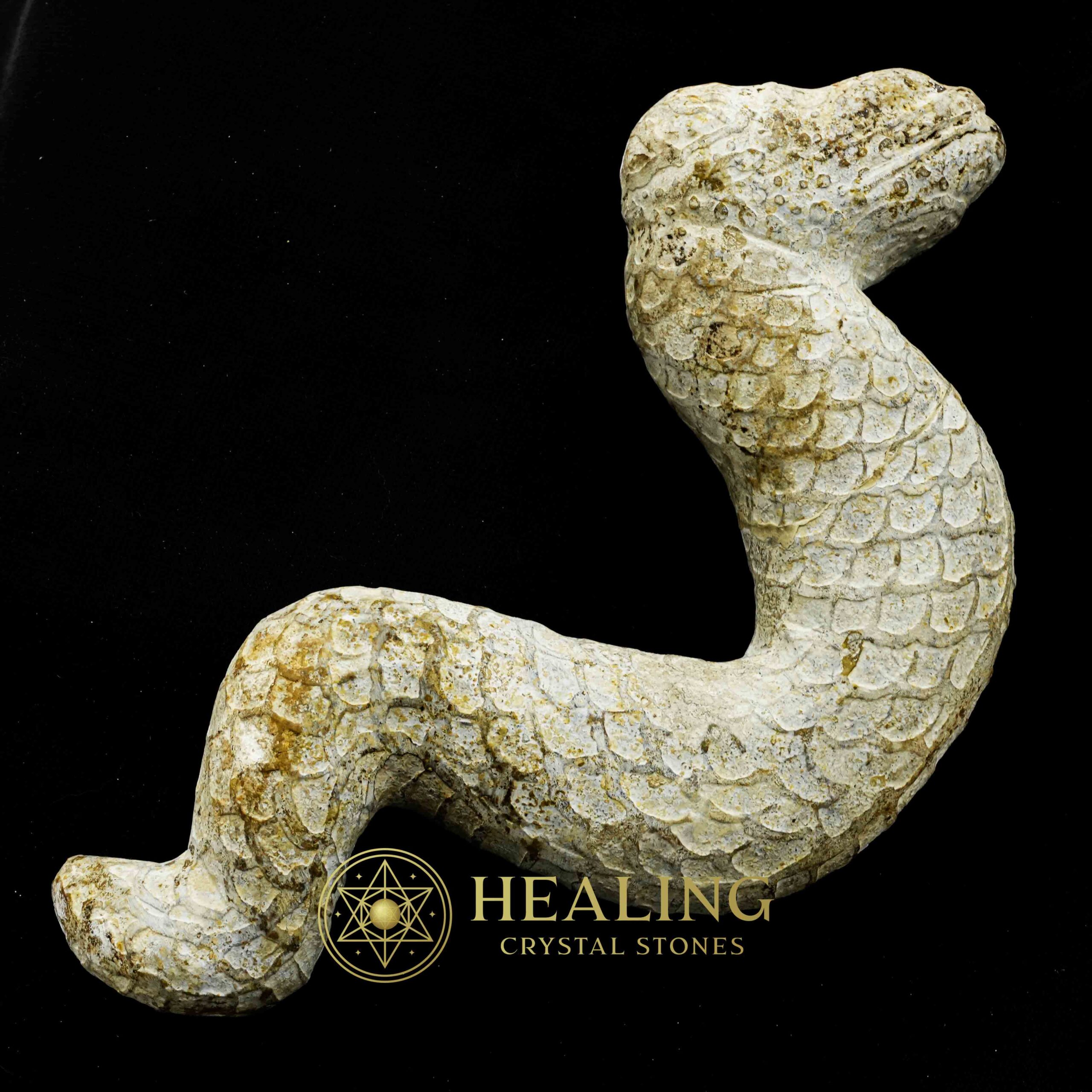 Javanese Dragon Stone - Type C4 - Healing Crystals, Crystal Stones, Power Animal Stones, Animal Totem Stones, Mustika Pearls, Sacred Stones, Spiritual Crystals, shaman, psychic, artifact