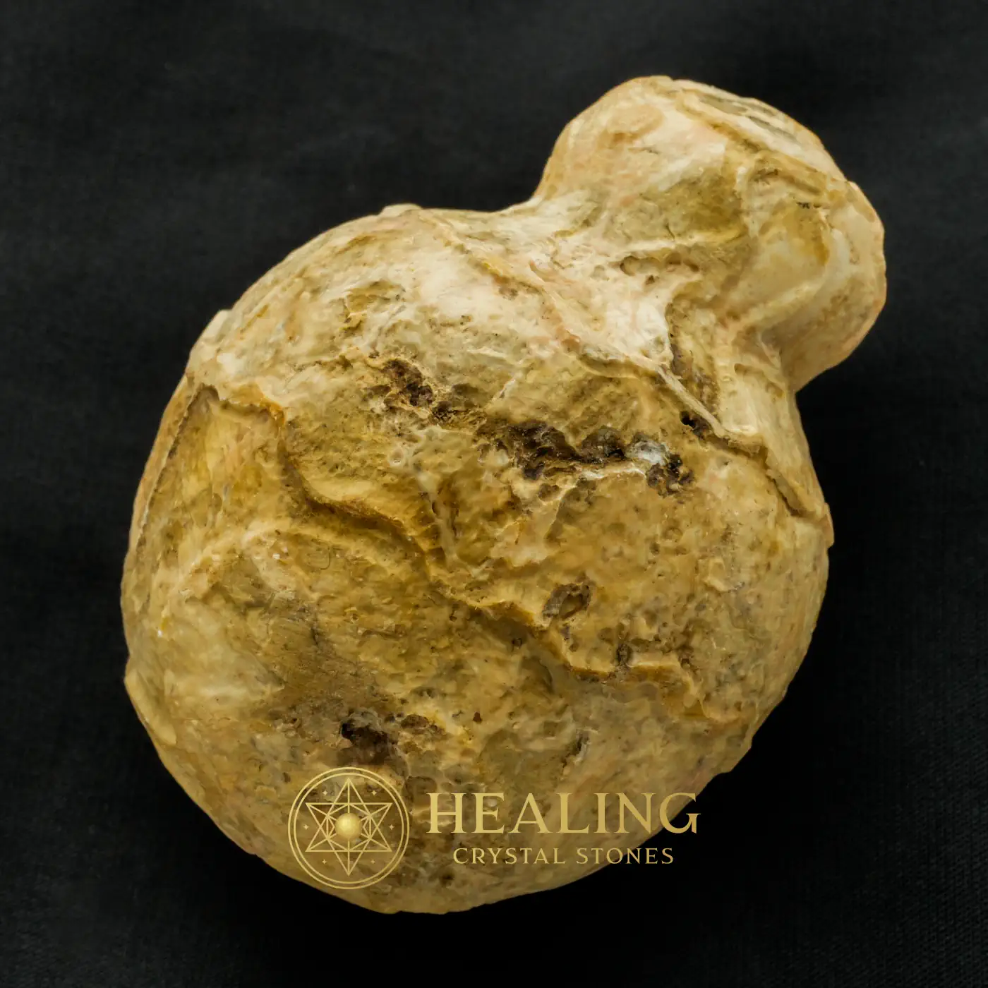 Javanese Fossilized Treasure Vase - Type A1 - Bezoar Stones, Magickal, Divine, Aura, Harmony, Protection, Unique, Guardian Crystal, Earth Spirit Stone, Esoteric Artifact
