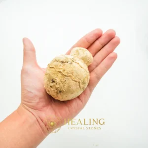 Javanese Fossilized Treasure Vase - Type A1 -Spiritual Crystals, Shaman, Artifact, Relic, Meditation, Fortune, Rare, Spirit Crystal, Life Force Stone, Energy Alignment Crystal