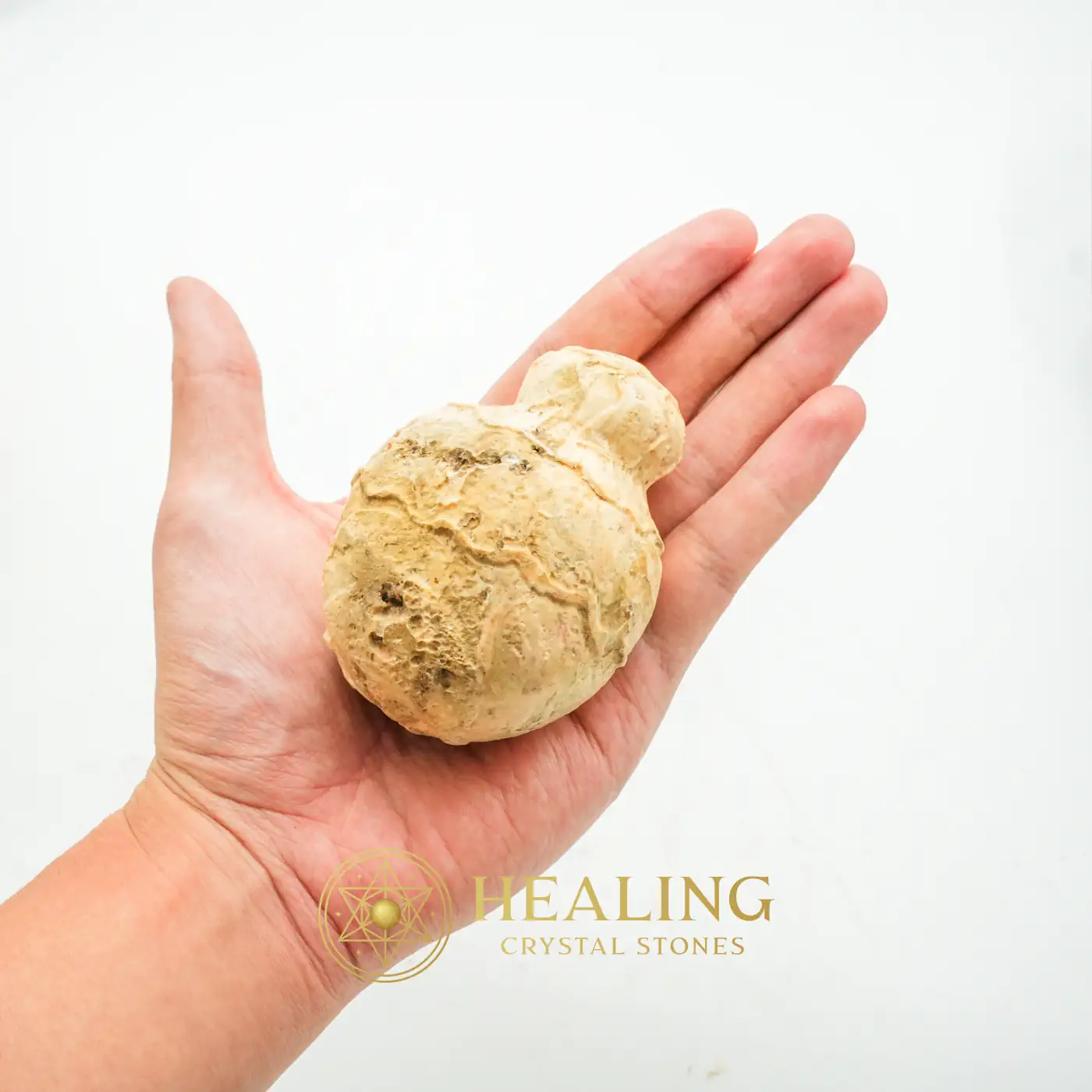 Javanese Fossilized Treasure Vase - Type A1 -Spiritual Crystals, Shaman, Artifact, Relic, Meditation, Fortune, Rare, Spirit Crystal, Life Force Stone, Energy Alignment Crystal