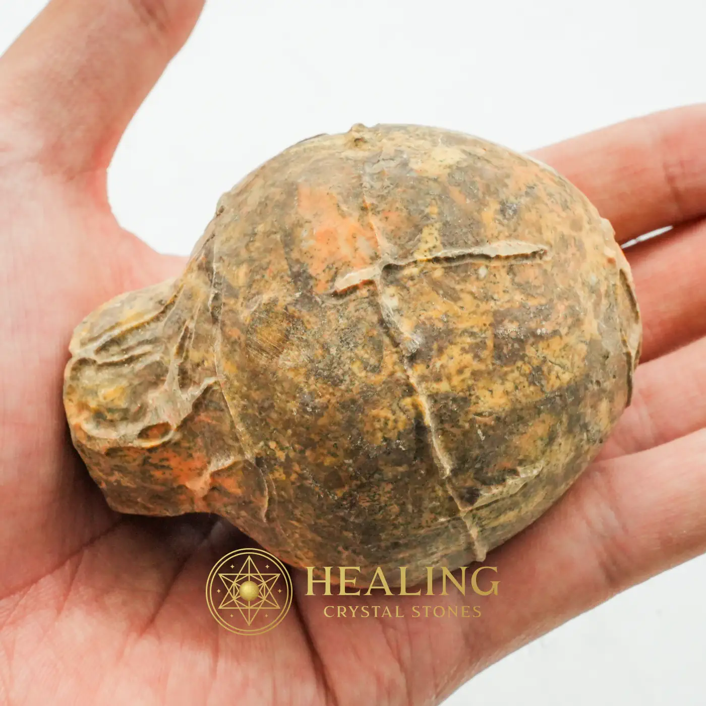 Javanese Fossilized Treasure Vase - Type A2 - Bezoar Crystals, Spiritual, Sacred Crystals, Awakened, Balance, Emotional Healing, Authentic, Guardian Talisman, Nature Stone, Occult Artifact