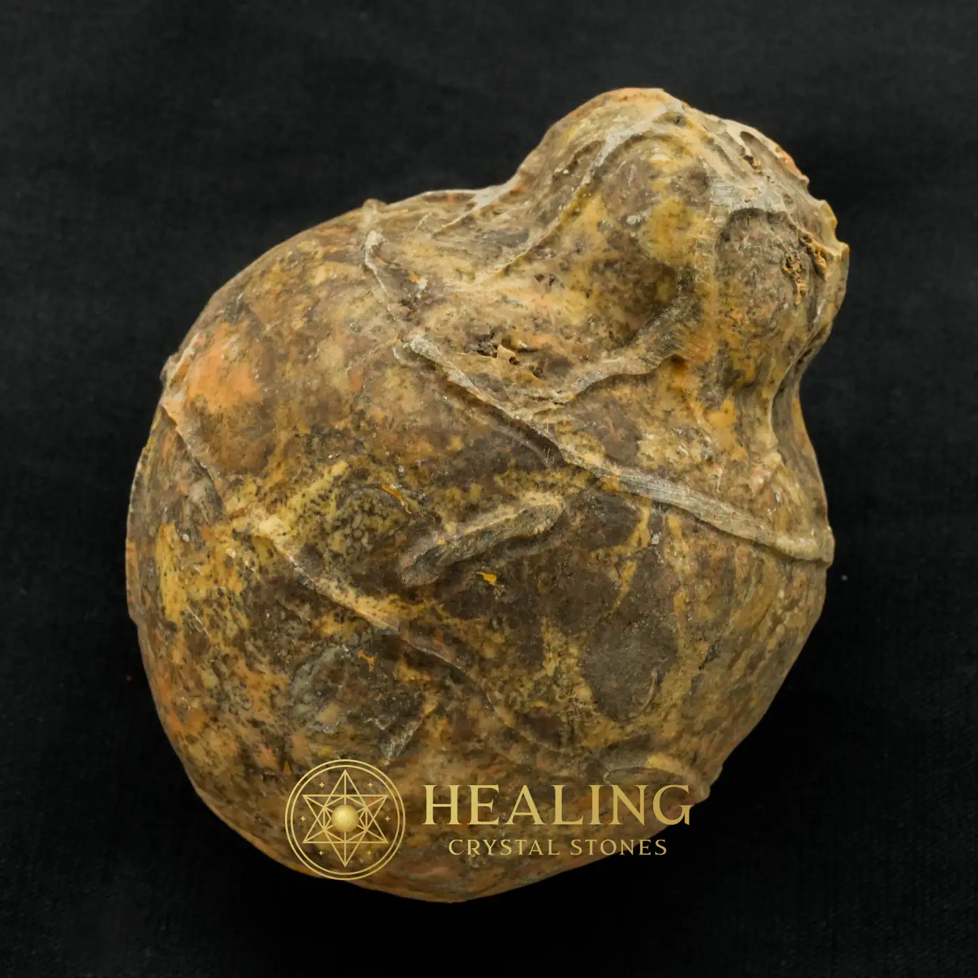 Javanese Fossilized Treasure Vase - Type A2 -Healing Bezoar Stones, Mystical, Enchanted, Chakra, Energetic, Purification, Antique, Guardian Amulet, Solar Crystal, Aura Crystal