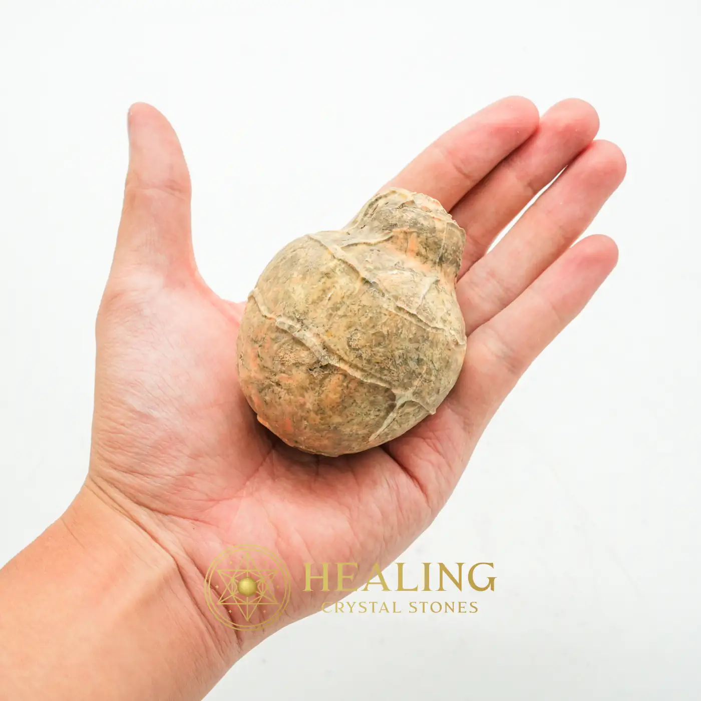 Javanese Fossilized Treasure Vase - Type A2 -Healing Bezoar Stones, Mystical, Enchanted, Chakra, Energetic, Purification, Antique, Guardian Amulet, Solar Crystal, Aura Crystal