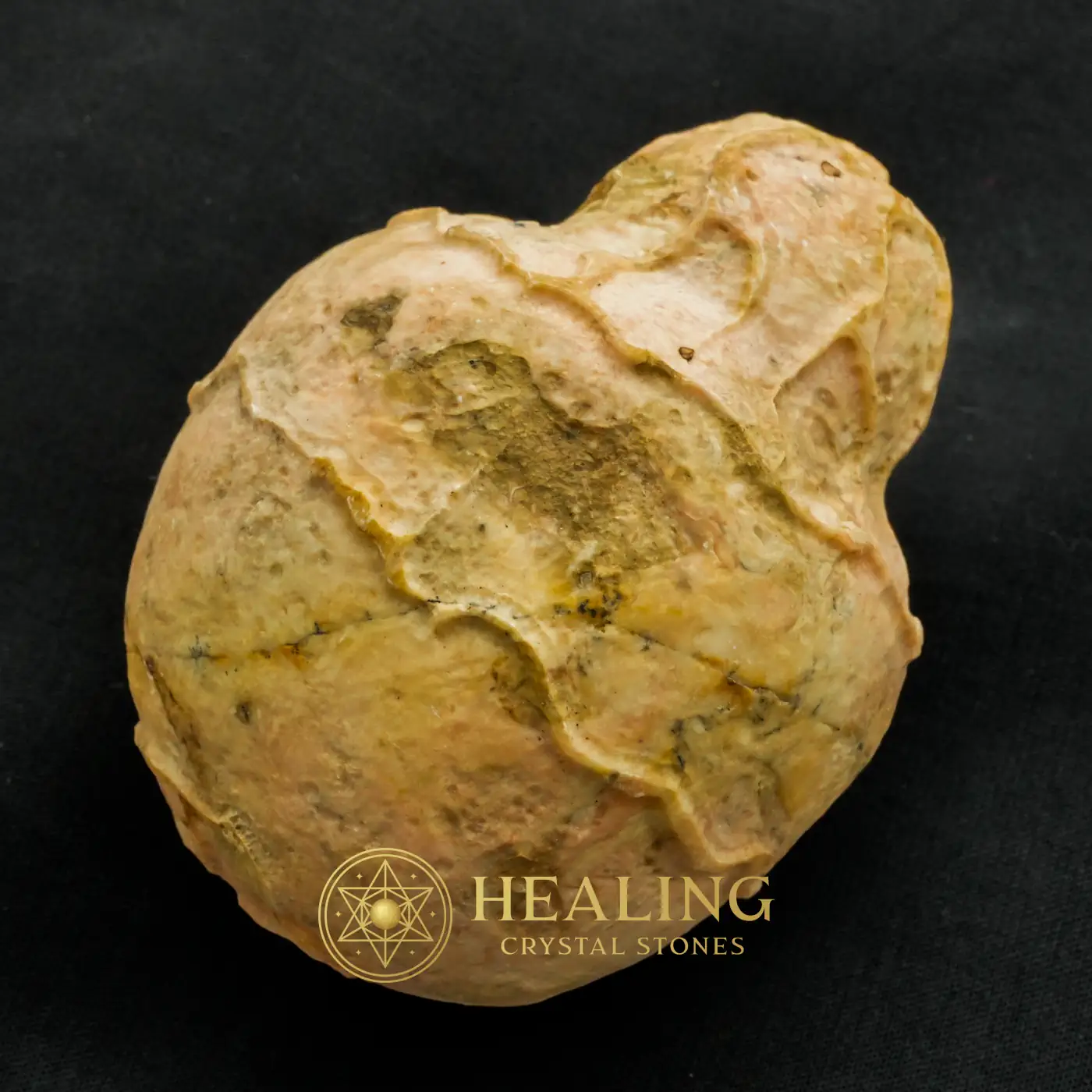 Javanese Fossilized Treasure Vase - Type A3 -Magical Stones, Metaphysics, Mystical, Meditation, Positive Energy, Fortune, Rare, Guardian Crystal, Solar Crystal, Aura Cleansing Stone