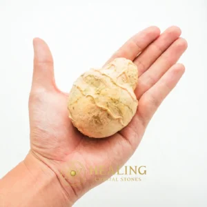 Javanese Fossilized Treasure Vase - Type A3 - Power Animal Stones, Psychic, Sacred Stones, Universal Energy, Protection, Cleansing, Exceptional, Life Energy Crystal, Nature Crystal, Esoteric Stone